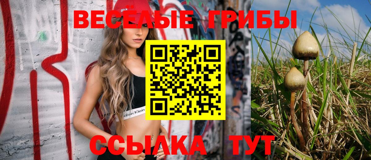 Ленинск-Кузнецкий  Галлюциногенные грибы мицелий  Вход с VPN  Галлюциногенные грибы Psilocybe 