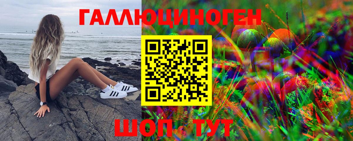 Галлюциногенные грибы GOLDEN TEACHER Ленинск-Кузнецкий