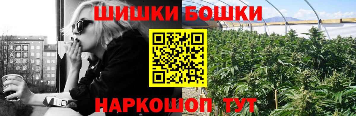 Конопля сатива Ленинск-Кузнецкий